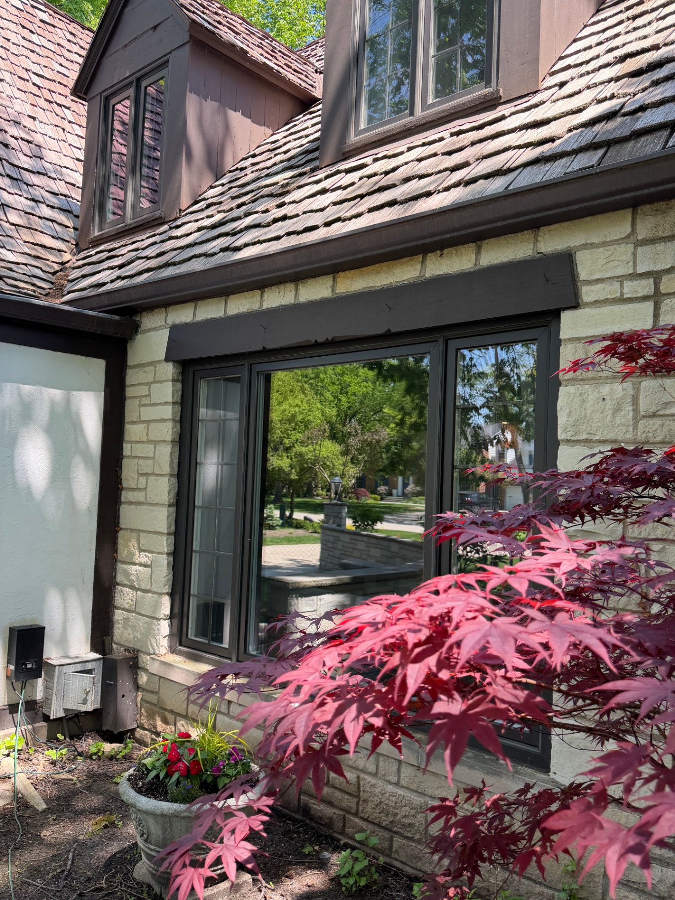 Streak-free picture window framed by Japanese maple